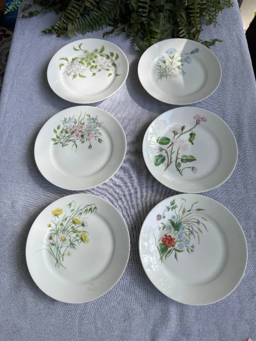 Haviland Limoges Floral Plates – Antique French Porcelain